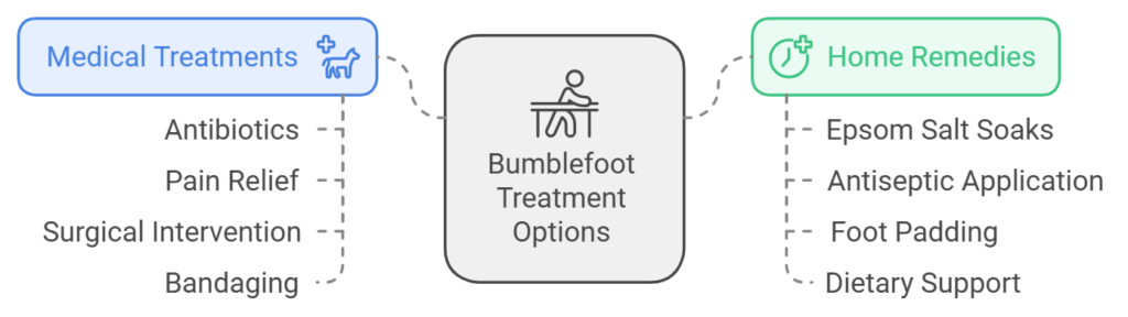 Treatment Options