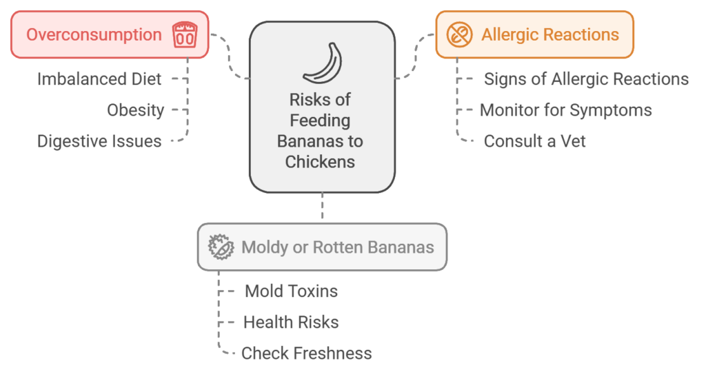 Potential Risks and Considerations