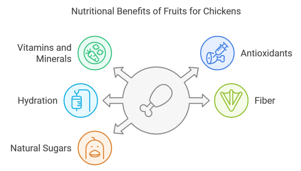 Nutritional Benefits of Fruits for Chickens