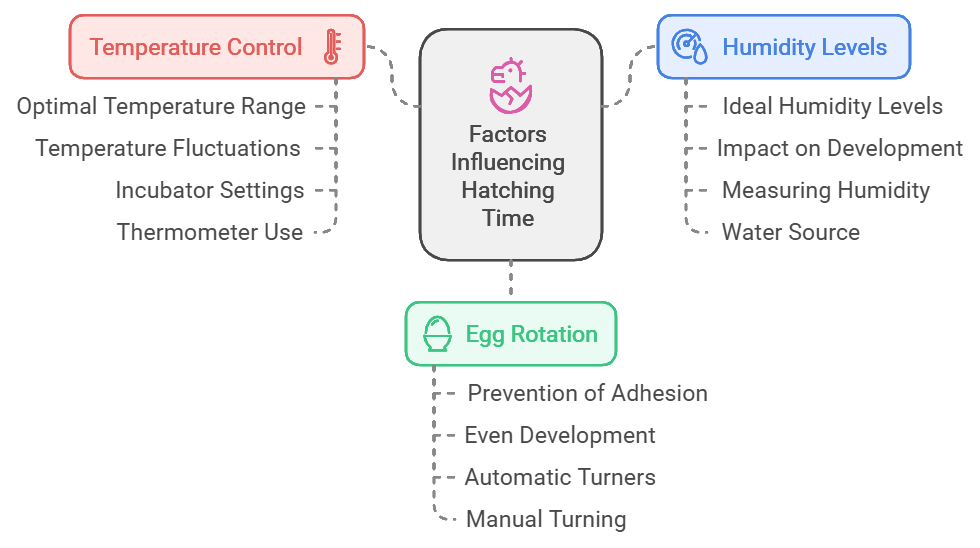 Factors Influencing Hatching Time