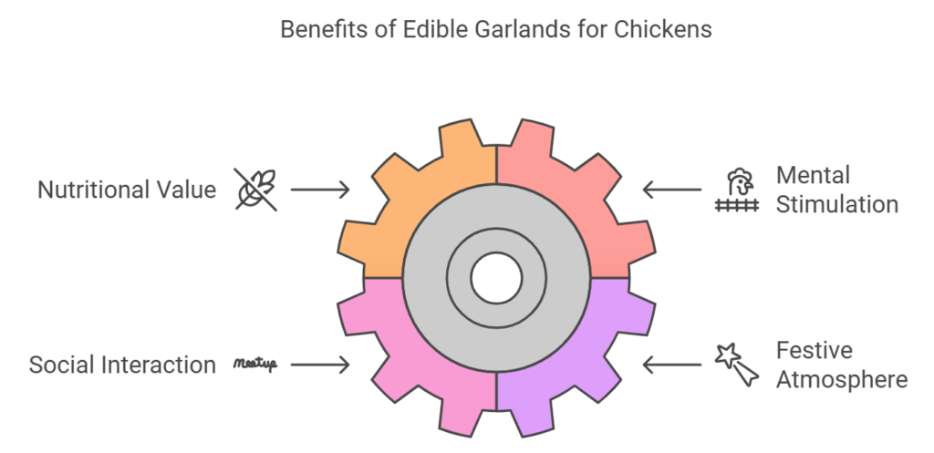 Benefits of Edible Garland for Chickens
