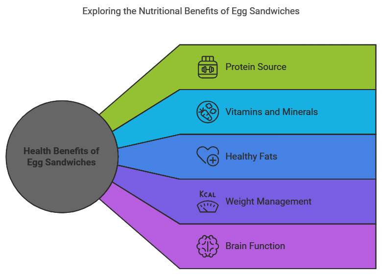 Exploring the Nutritional Benefits of Egg Sandwiches